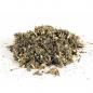 Preview: Beifuss (Europa) BIO, im Beutel (10g)
