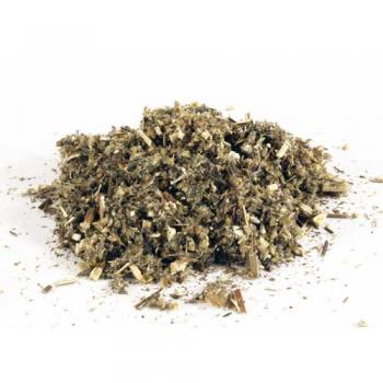Beifuss (Europa) BIO, im Beutel (10g)
